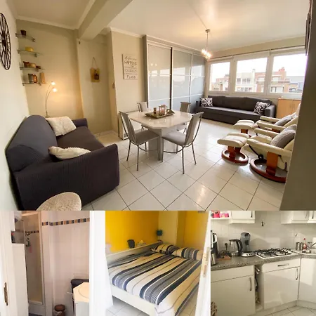 公寓 Comfortable In Blankenberge, 40 Sqm, Parking *